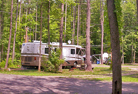 Shady RV Site